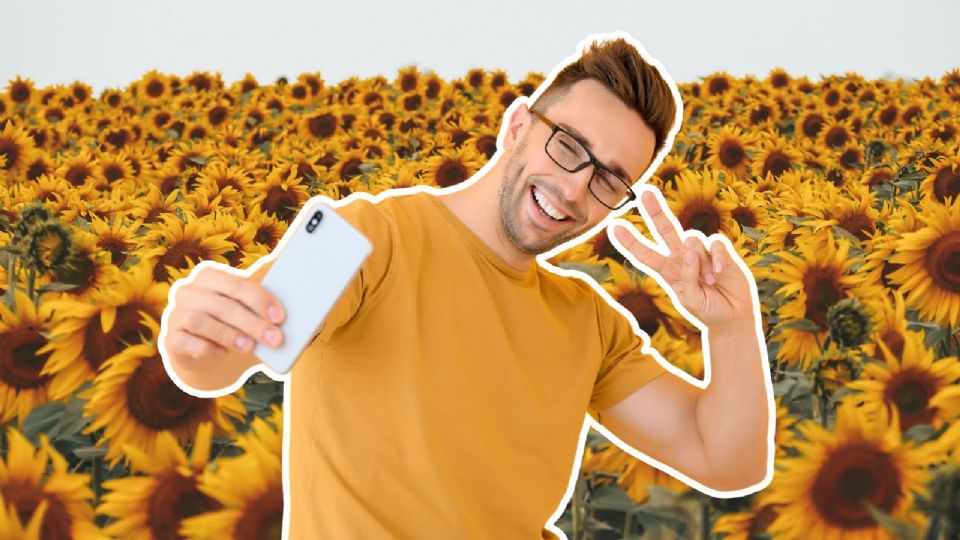 Descubre todo sobre el Festival Entre Girasoles 2025.