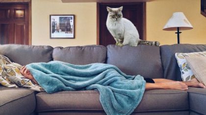 ¿Por qué tu gato está despierto todas las madrugadas?