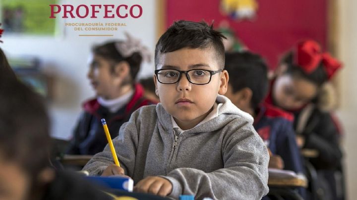El pegamento blanco más bueno y barato para este regreso a clases, según Profeco