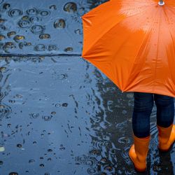 Temporada de lluvias 2025: ¿cuándo terminarán los intensos aguaceros en CDMX?
