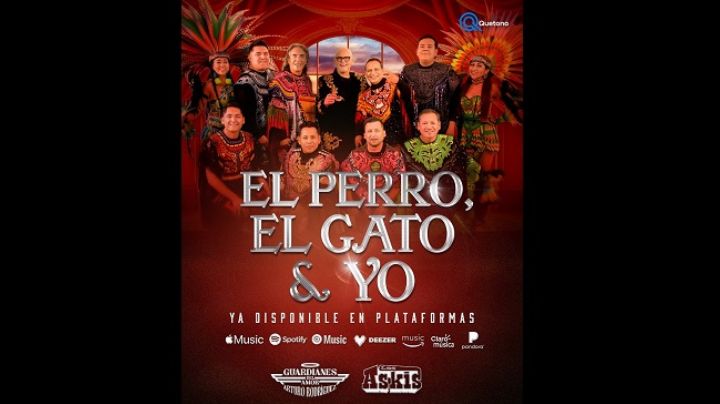 Disfruta la nueva versión de “El perro, el gato y yo”