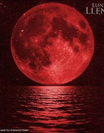 Foto descriptiva de: Disfruta una “Luna llena” con Santiago Martell y Dariell Cano