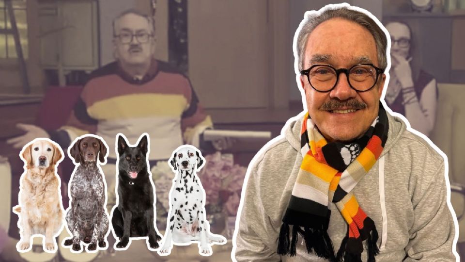 Pedrito Sola pide disculpas por comentarios de maltrato animal